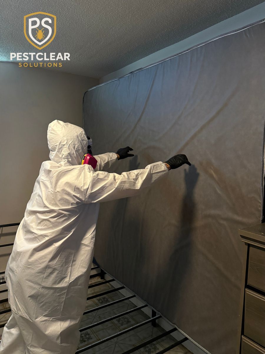 Bed Bug Extermination